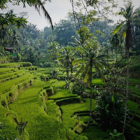 Villa Seremi Ubud Payangan Εξωτερικό φωτογραφία